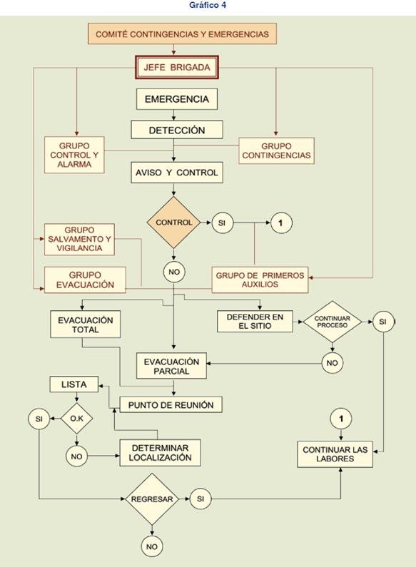 Elaborar un plan de emergencia: brigada en acción Acción de la brigada en caso de una contigencia