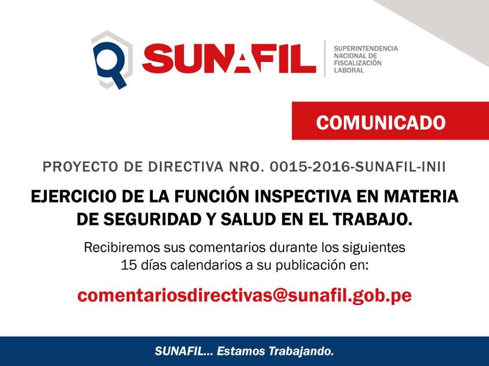 Ejercicio de la función inspectiva en materia de seguridad y salud en el trabajo