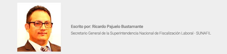 Ricardo Pajuelo Bustamante - Sunafil