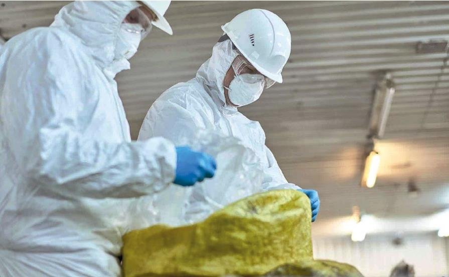 Agentes biológicos en el entorno laboral-1